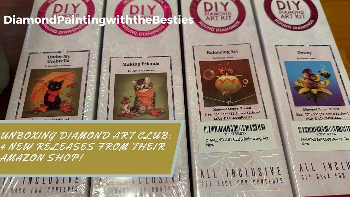 diamond art club product image